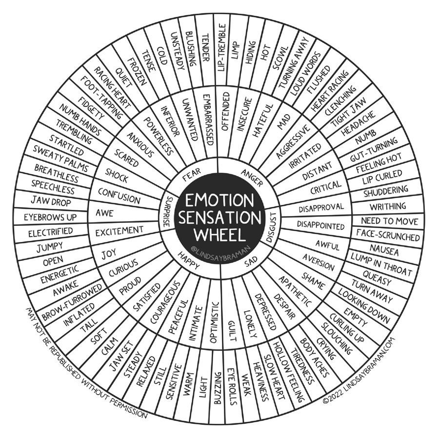 Download Emotion Sensation Wheel 2022 Updated Design LindsayBraman