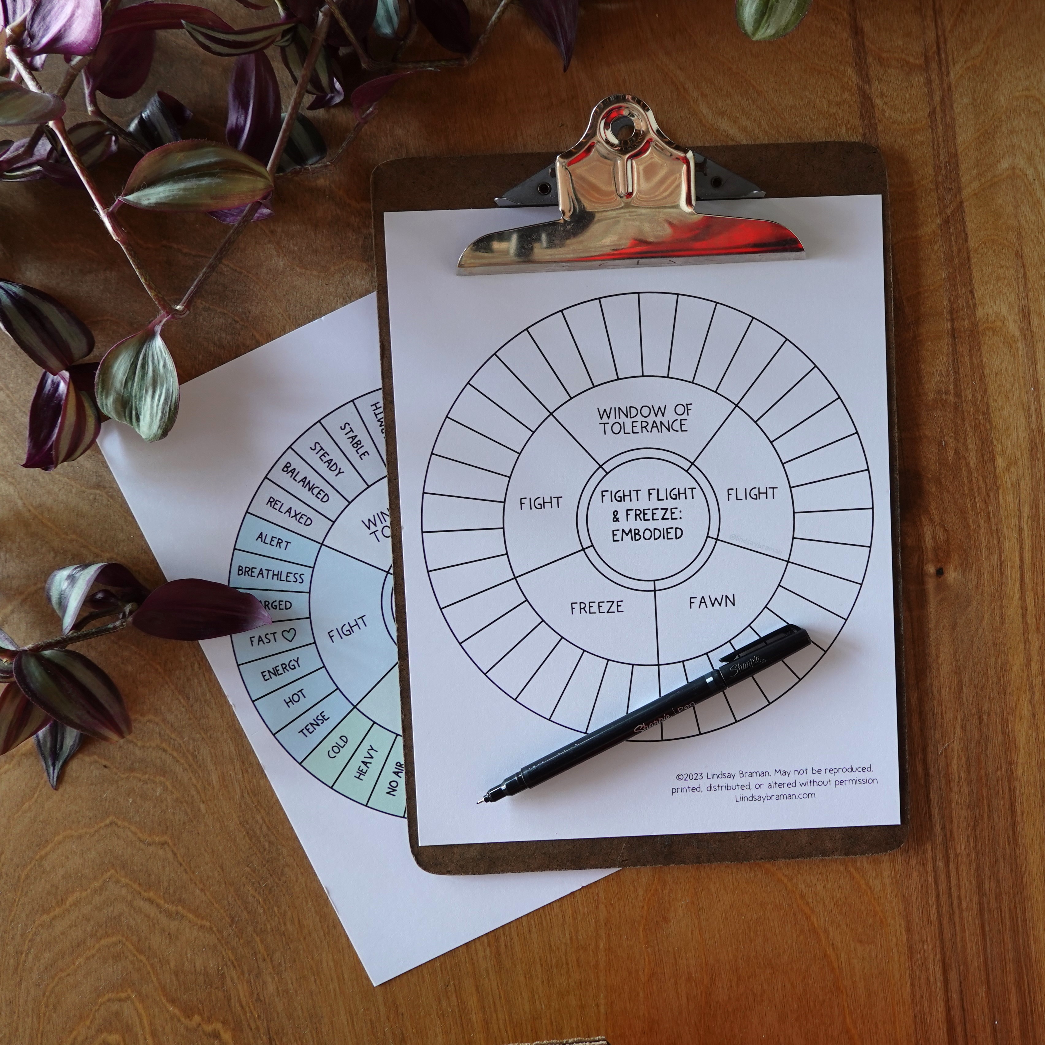 Fight, Flight, & Freeze Embodied Wheel - A Resource for Growing Window ...