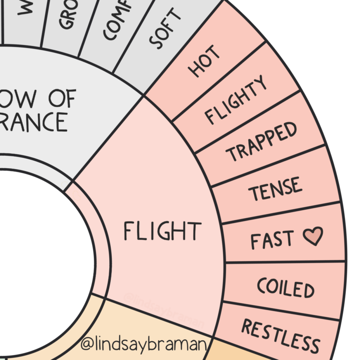 Fight, Flight, & Freeze Embodied Wheel - A Resource for Growing Window ...
