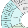 Fight, Flight, & Freeze Embodied Wheel - A Resource for Growing Window ...