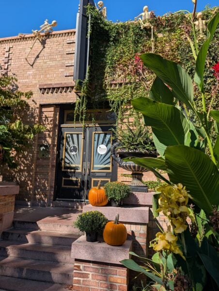 Antagonist cafe in SOulard st louis at halloween