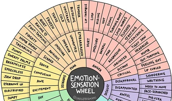 Emotion Sensation Feeling Wheel Pillow Case for Therapists, Social