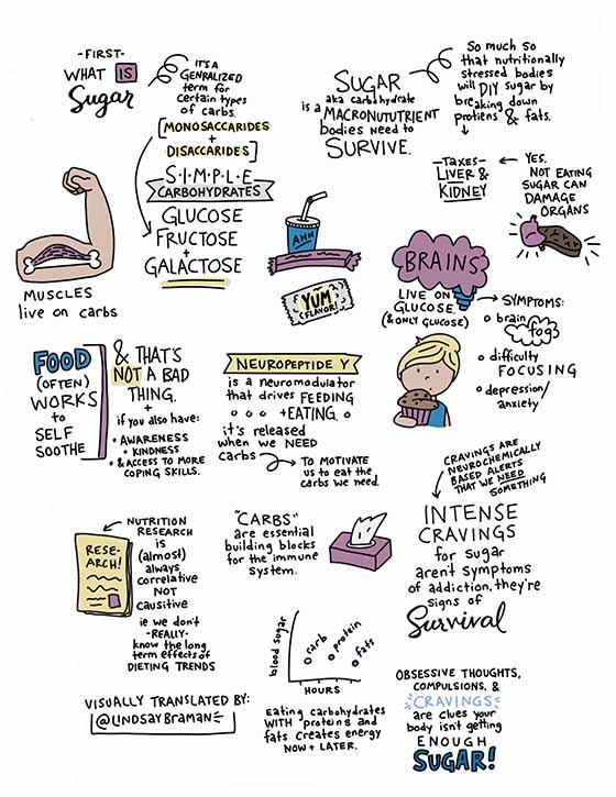 myths about sugar addiction sketchnote