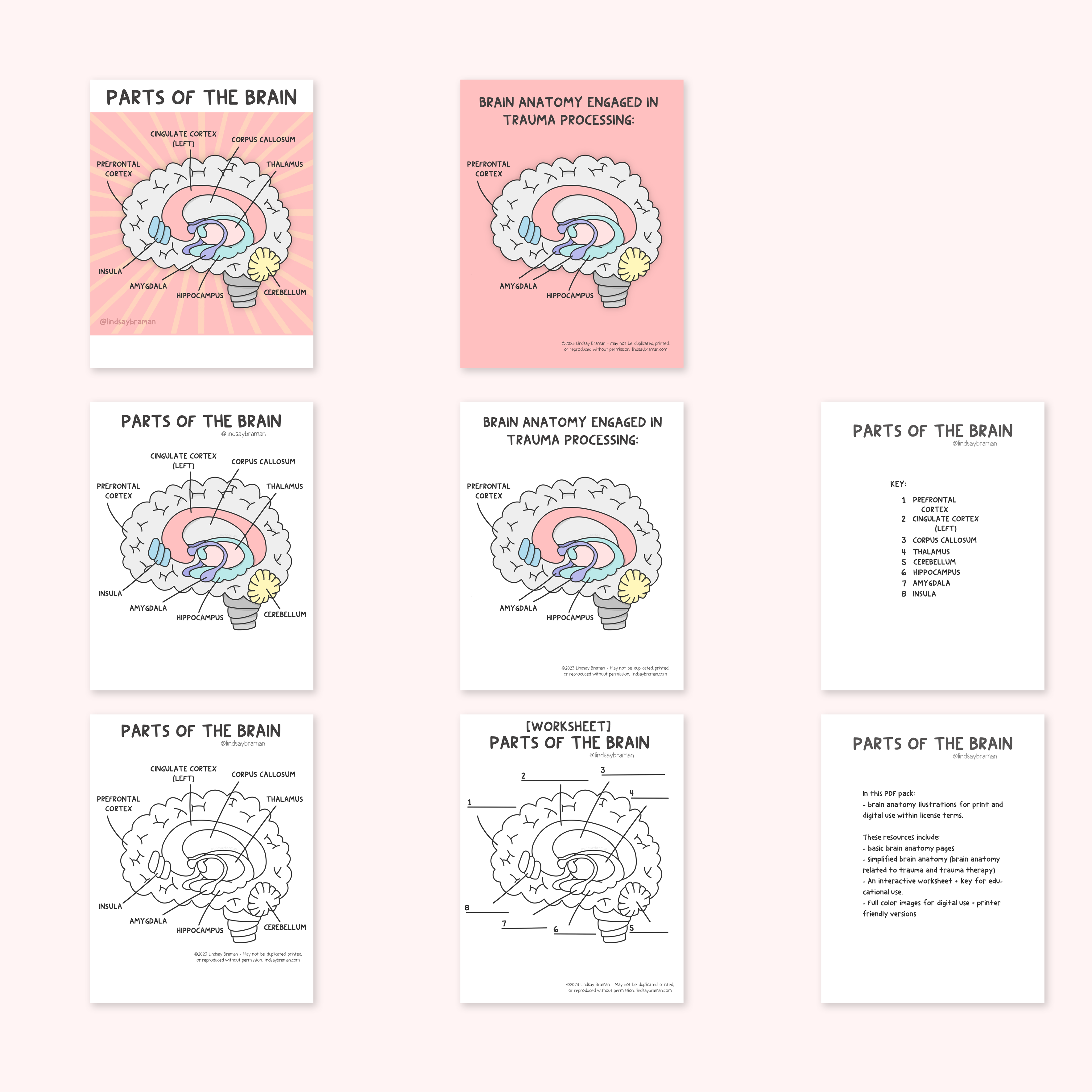 Printable PDF Download: Learning About the Brain | A Brain Anatomy ...